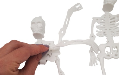 DEKORACJA NA HALLOWEEN SZKIELET BIAŁY 2szt.