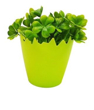 OSŁONKA SKORUPKA 10cm NA RZEŻUCHĘ OWIES DO STROIKÓW