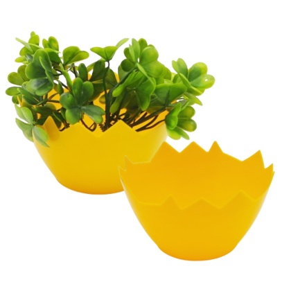 OSŁONKA SKORUPKA 12cm NA RZEŻUCHĘ OWIES DO STROIKÓW