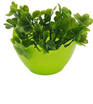 OSŁONKA SKORUPKA 12cm NA RZEŻUCHĘ OWIES DO STROIKÓW