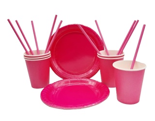 ZESTAW RÓŻOWY FUKSJA TALERZYKI + KUBECZKI + SŁOMKI