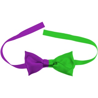 FIOLETOWO-ZIELONA MUCHA DLA MĘŻCZYZN PRZEBRANIE