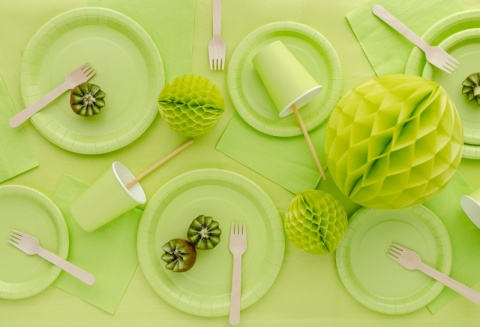 JASNOZIELONY OBRUS CERATKA 137x183cm WIELORAZOWY